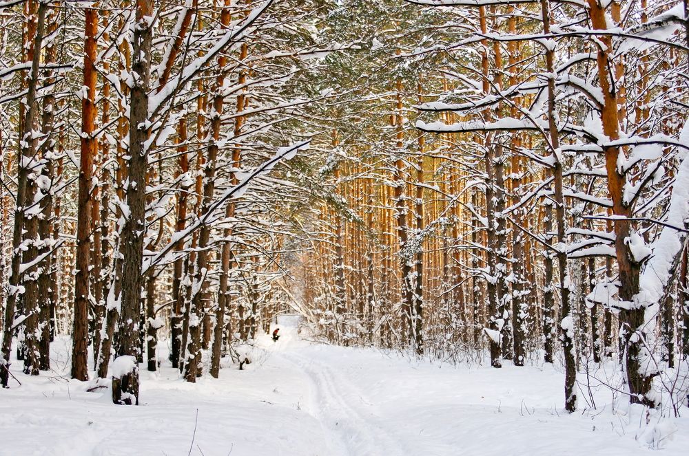 Photograph by Анатолий Стафичук