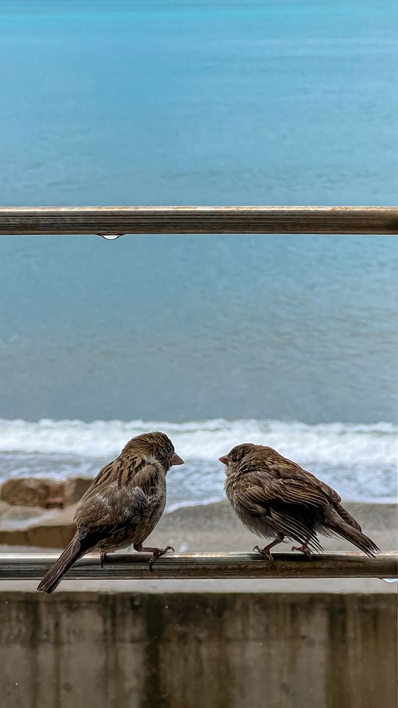 Photograph by Ольга Кондакова