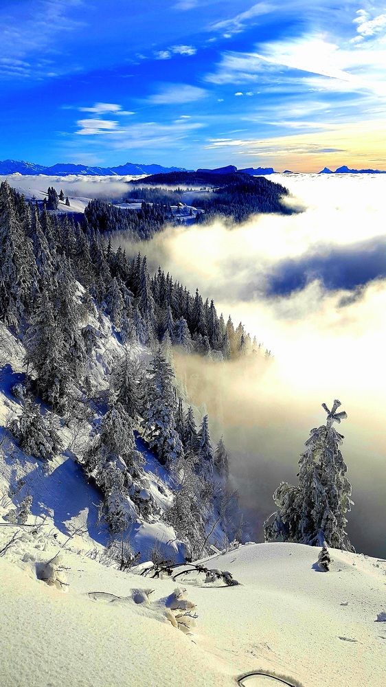 Фотография автора Kate Fontaine