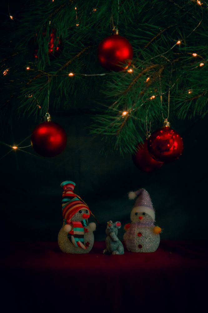 Photograph by Ангелина Карелина