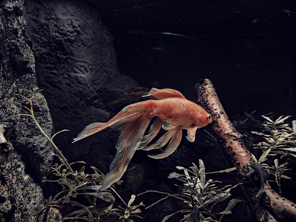 Photograph by Наталья Костинова