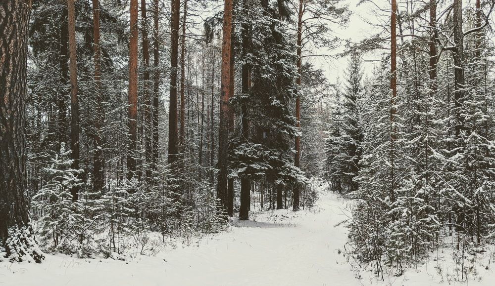 Фотография автора Евгений Даренский
