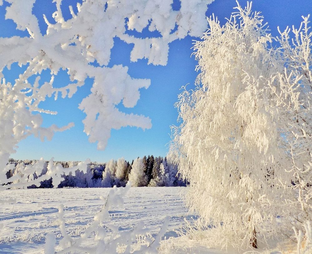Photograph by Александр Кокурин