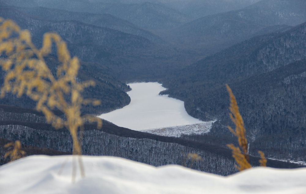Photograph by Дмитрий Гончаров