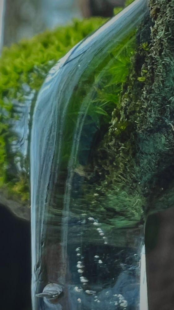 Photograph by Павел Панкратов