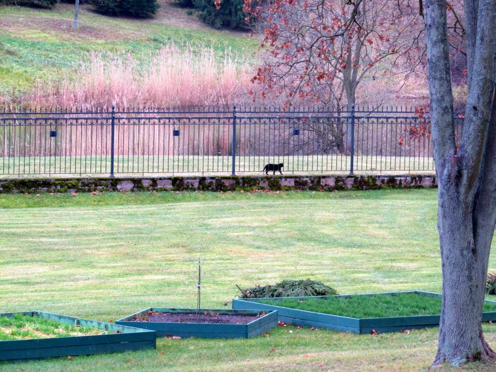 Photograph by Татьяна Смирнова