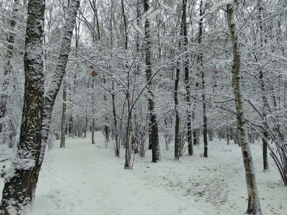 Photograph by Ася Кузьмина