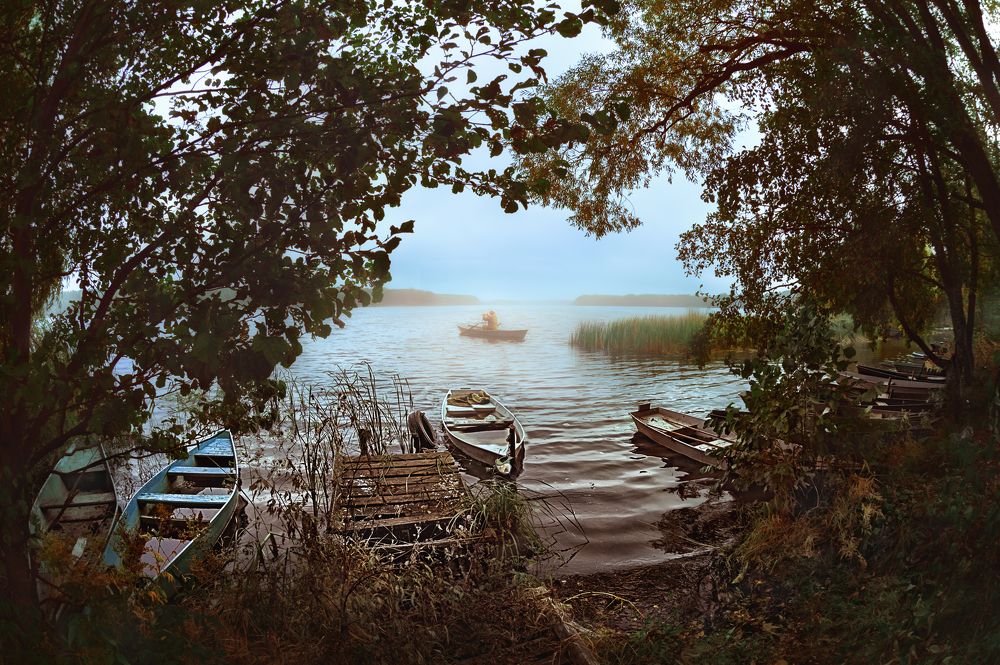 Photograph by Сивенок Елена