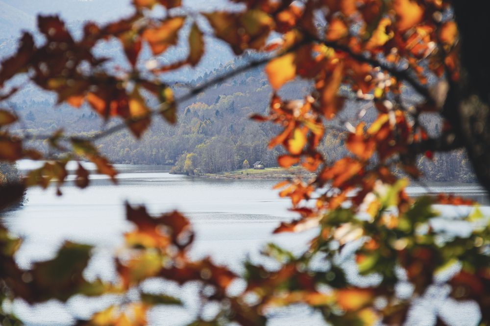 Photograph by Дмитрий Гончаров