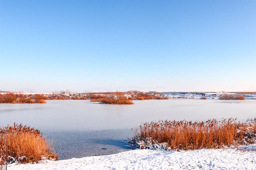 Photograph by Ch Ancuta