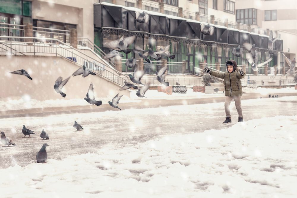 Photograph by Danilenko Tanya