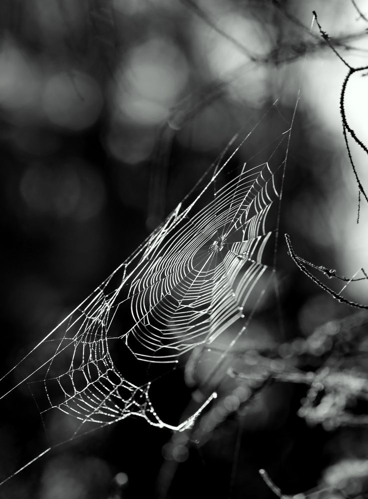 Photograph by Унку Юрий