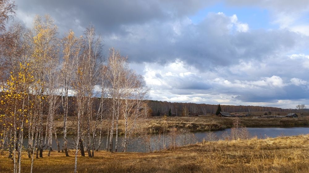 Осень на краю леса