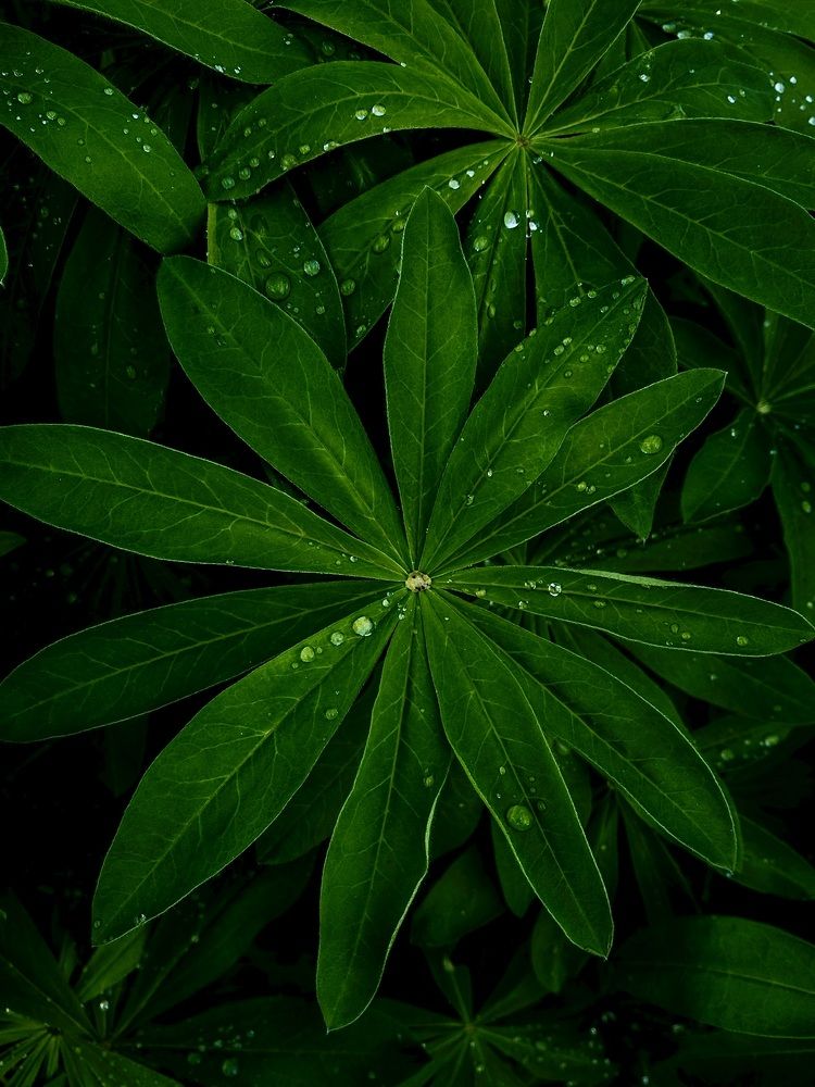 Photograph by Ольга Филатова