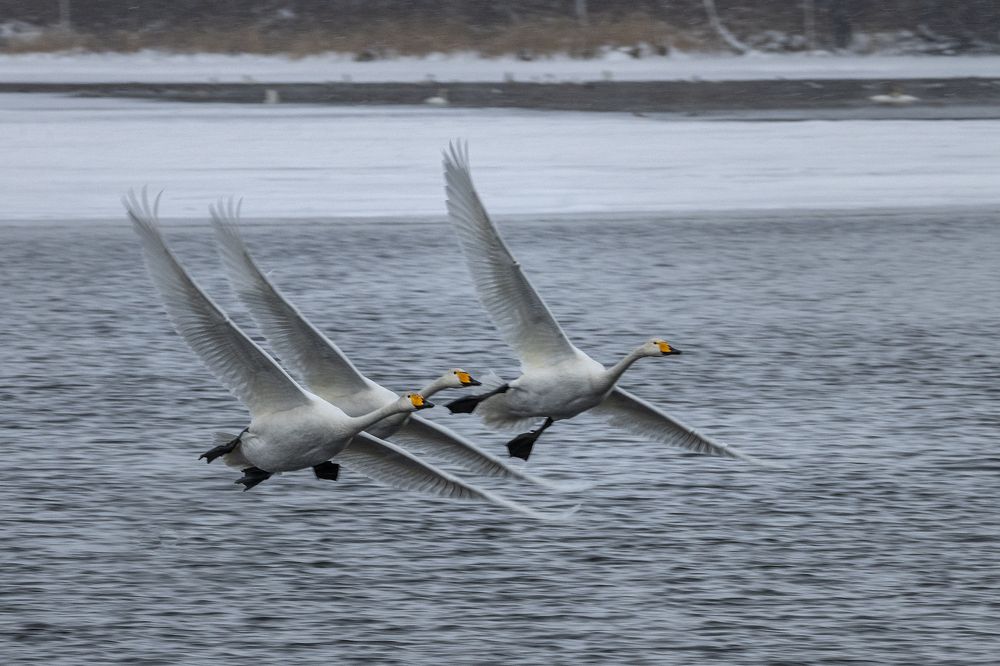 Photograph by Евгений Санин