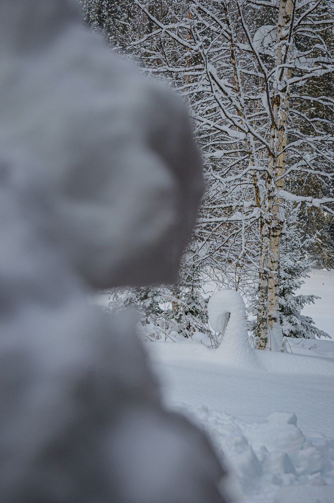 Photograph by Матвей Вершинин