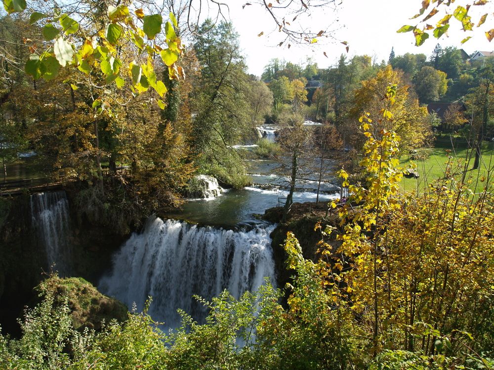 Фотография автора Dubravko Maricic