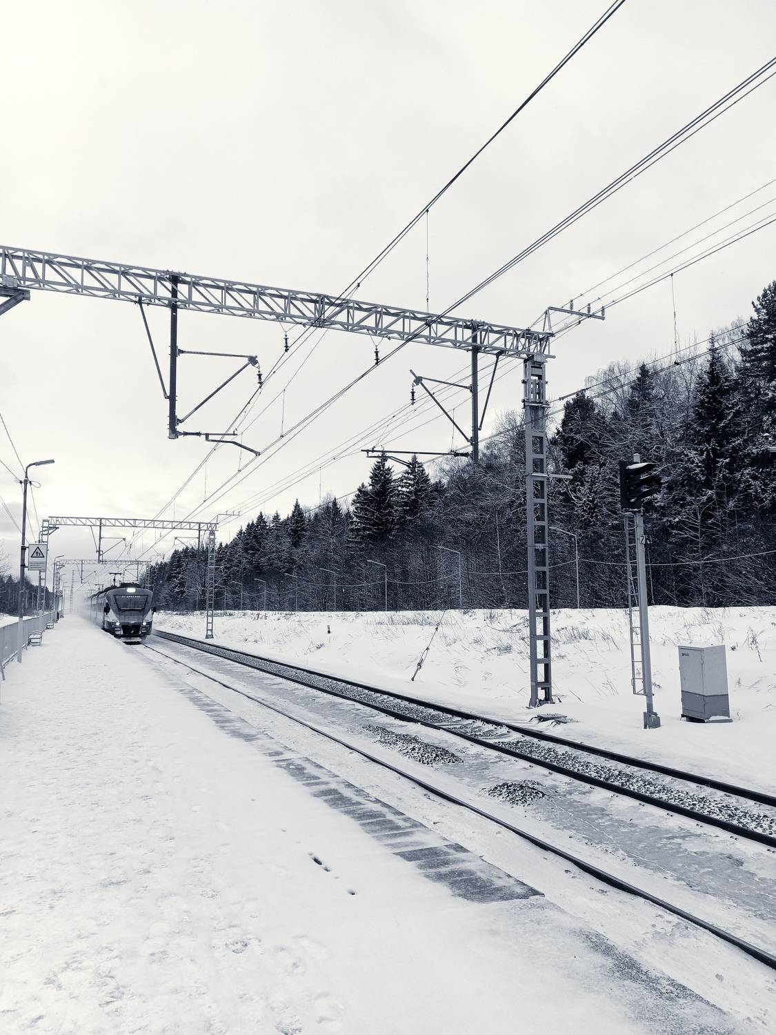 Photo #8596530
