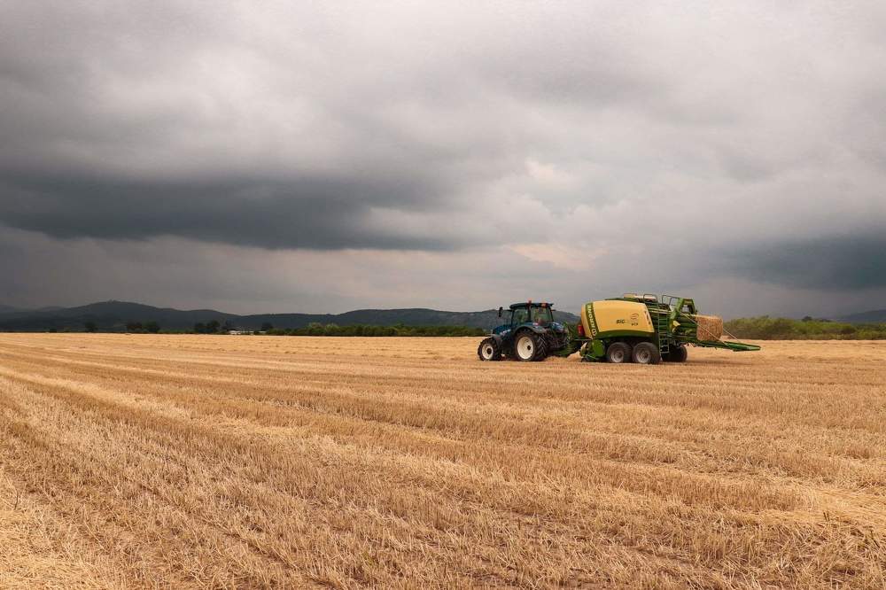 Фотография автора Green light
