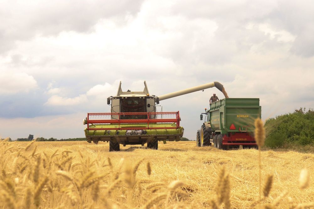 Photograph by Ch Ancuta