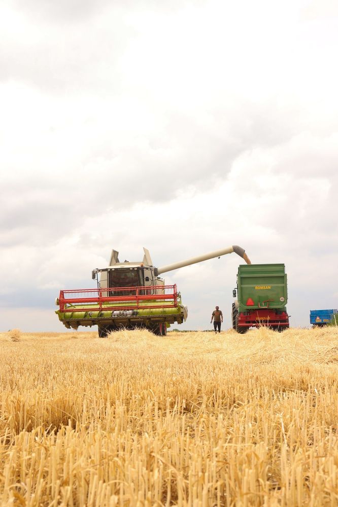 Photograph by Ch Ancuta