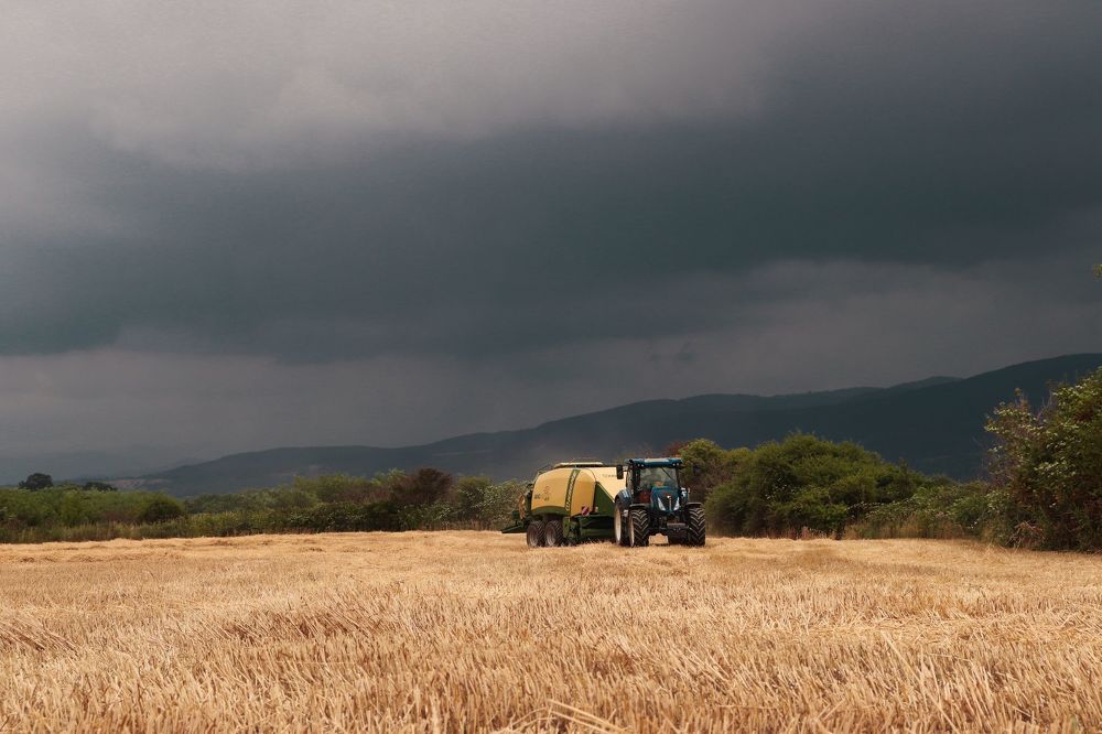 Photograph by Ch Ancuta