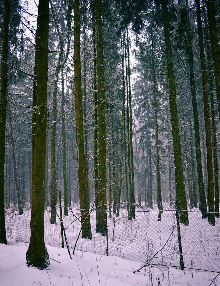 Photograph by Александр Лабутин