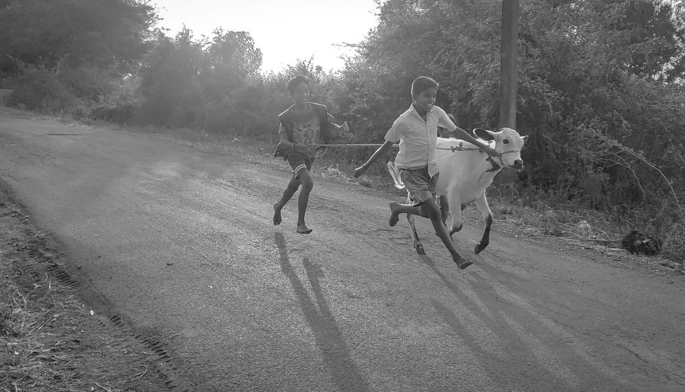 Photograph by Vijayakumar