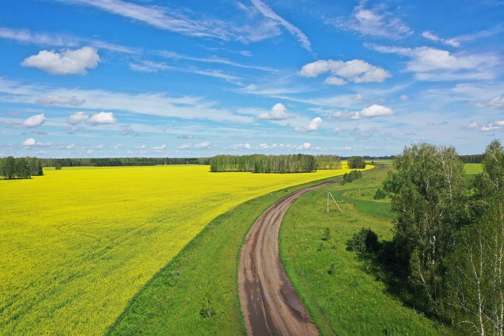 Photograph by Сергей Подгурский