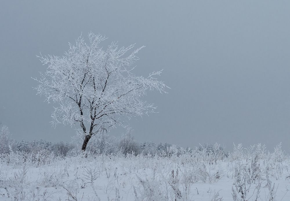 Photograph by Андрей Андрианов