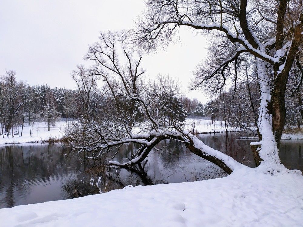 снежная зима