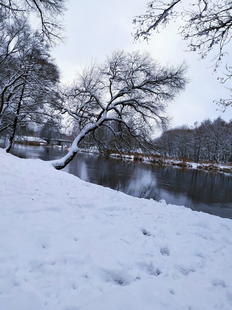 у реки зимой