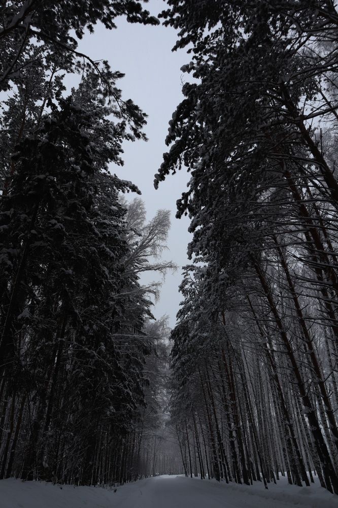 Photograph by Анастасия Николаева