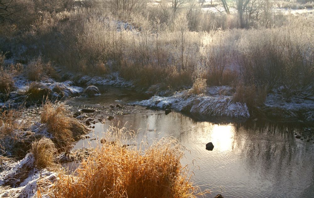 Первый снег