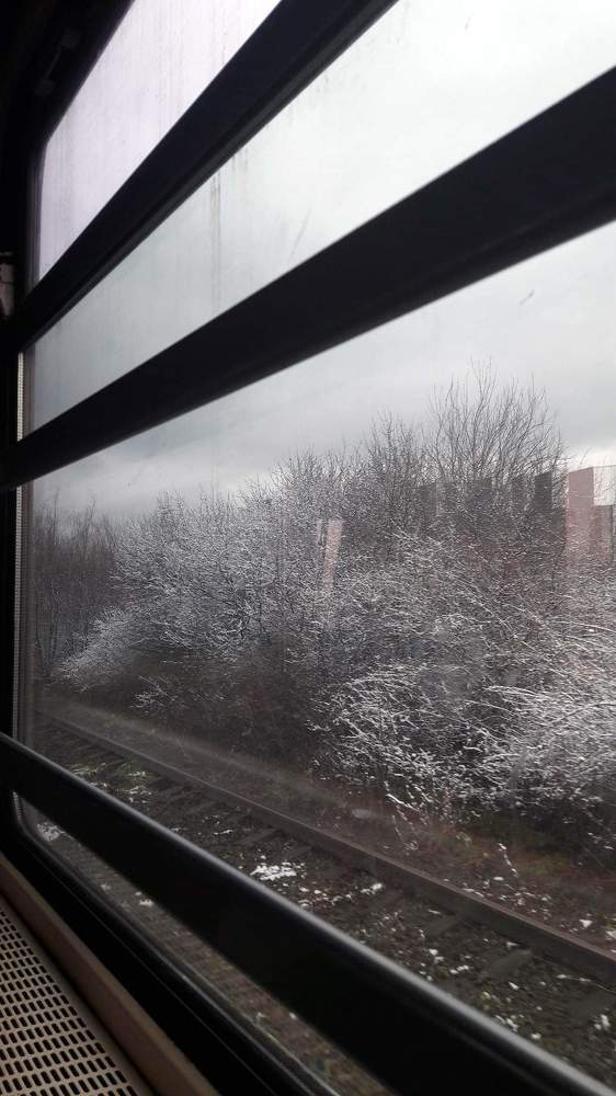 Фотография автора Green light