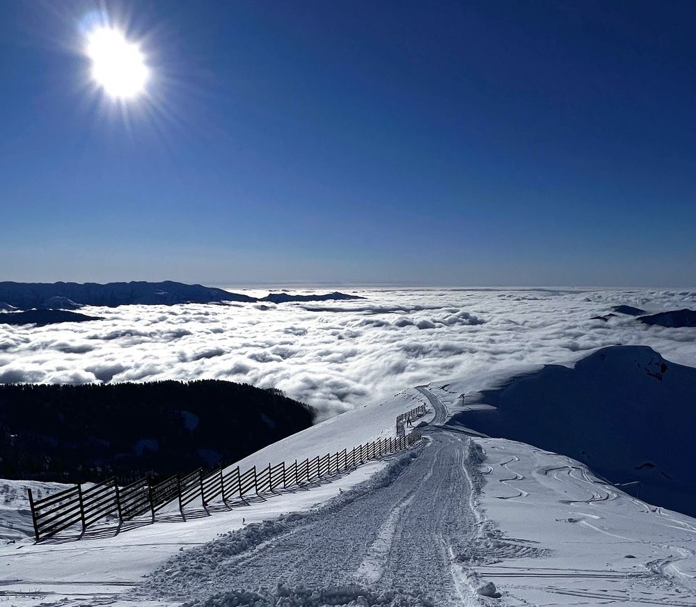 Photograph by Ольга Зуева