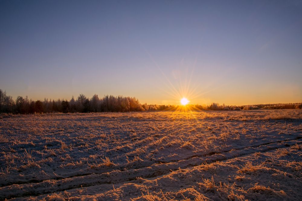 Photograph by Максим