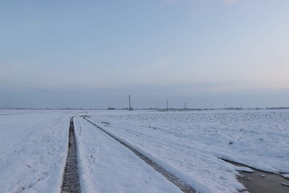 Фотография автора Green light