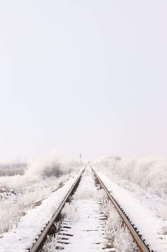 Фотография автора Green light