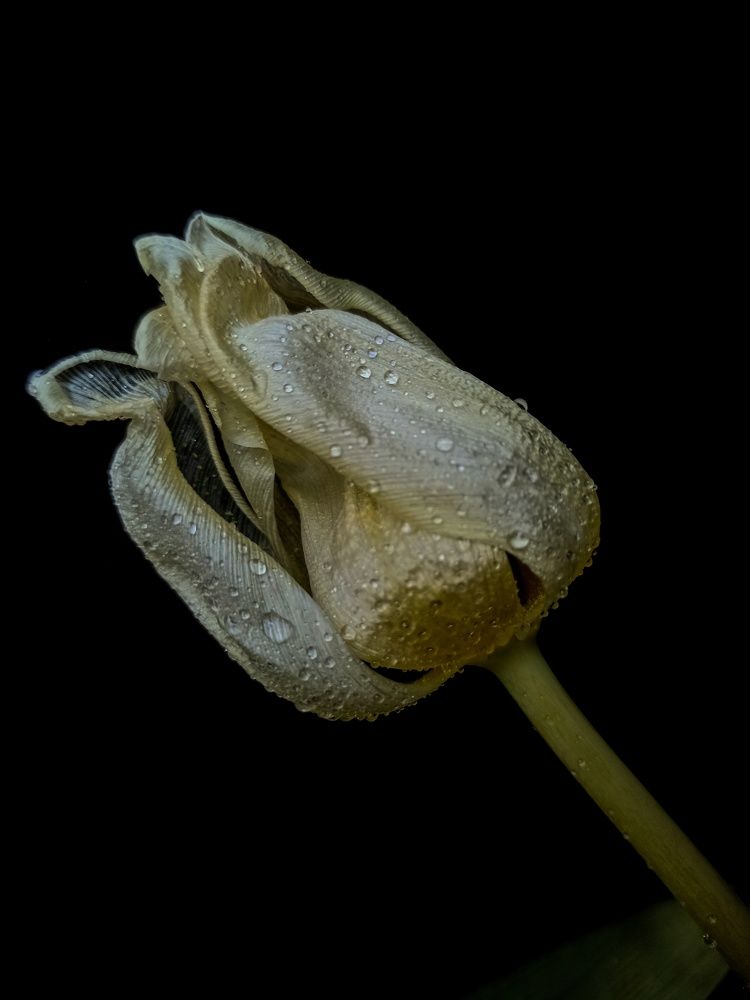 Photograph by Ирина Дегтярева