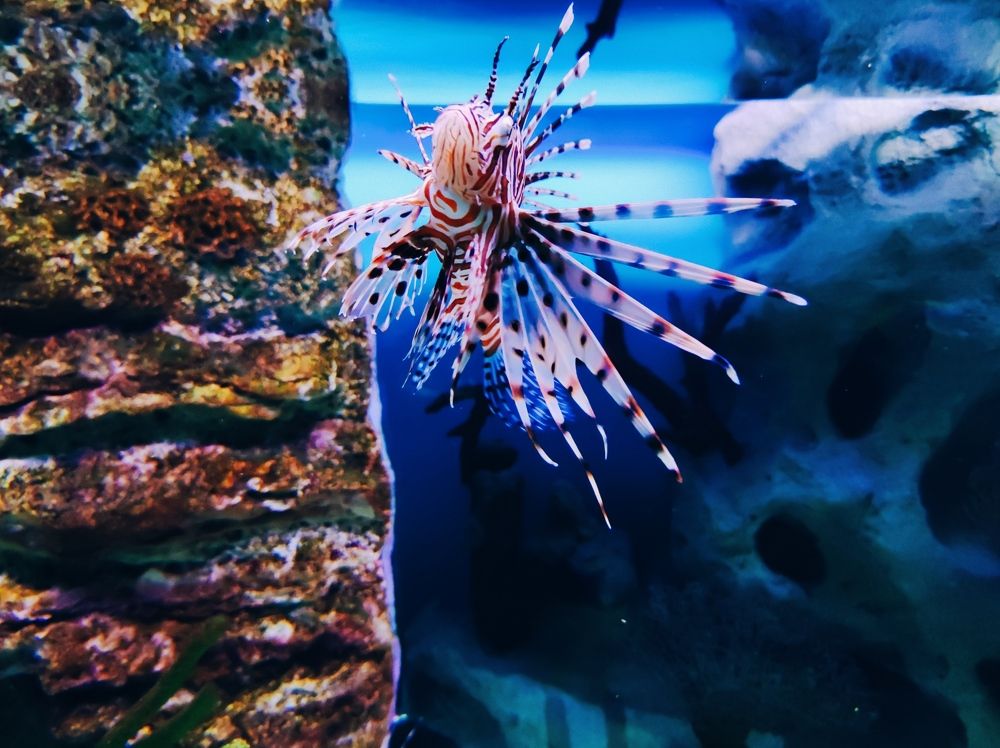 Photograph by Наталья Костинова