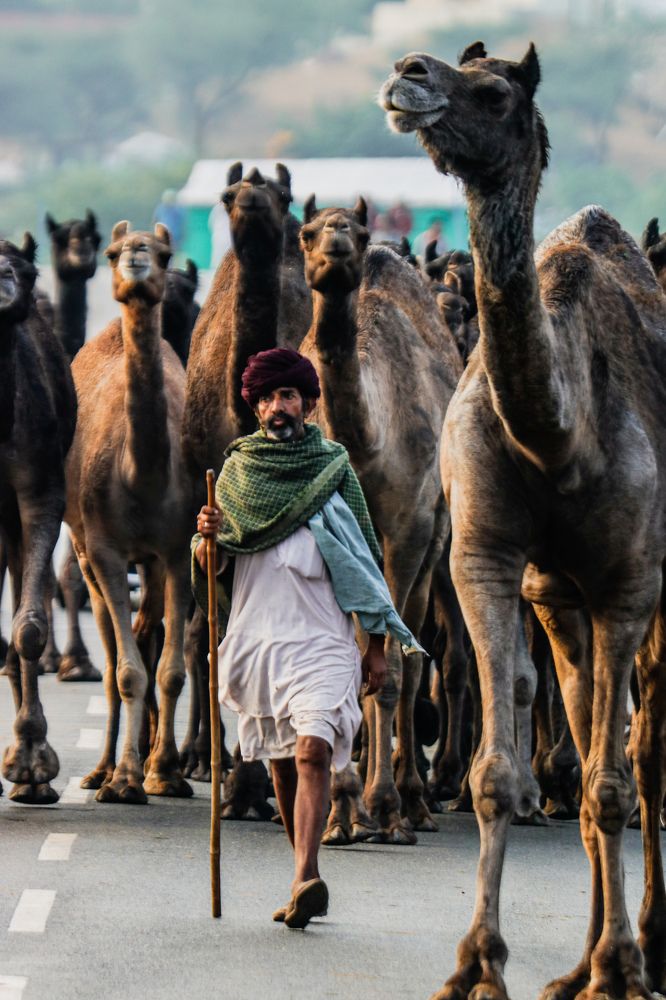 Photograph by Lakshya Sharma
