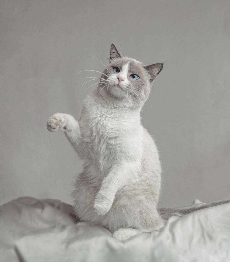 Photograph by Taтьяна Войлокова