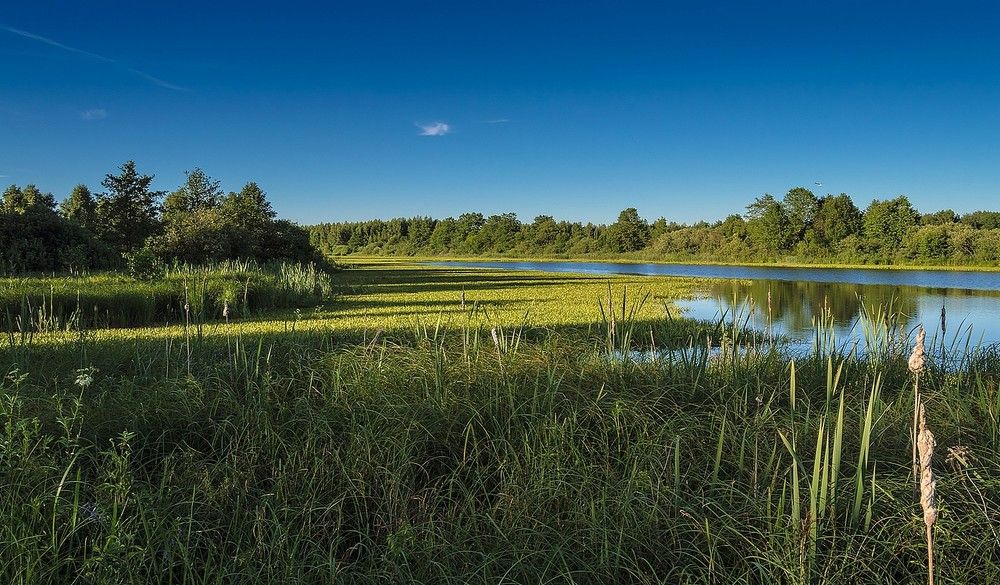 Photograph by Андрей Андрианов