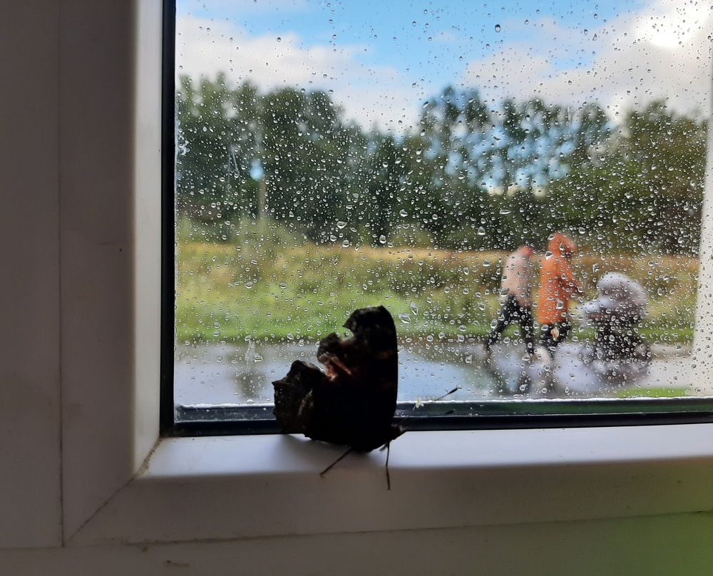 Photograph by Мария Пичугина