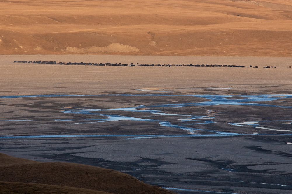 Photograph by Evgeny S.