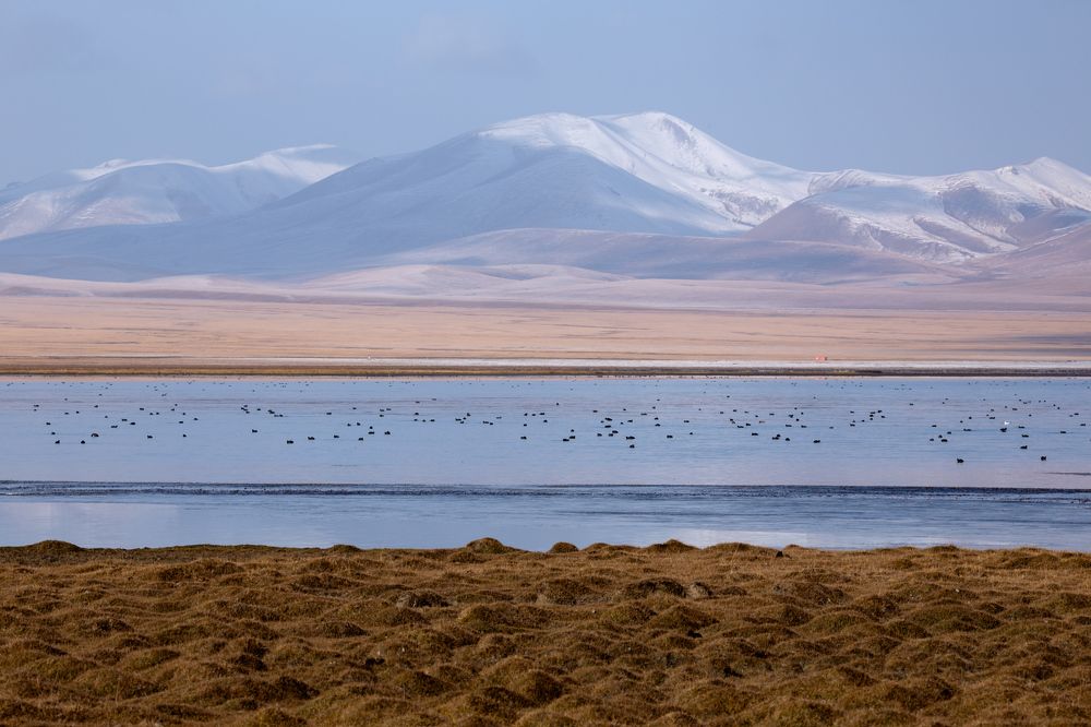 Photograph by Evgeny S.