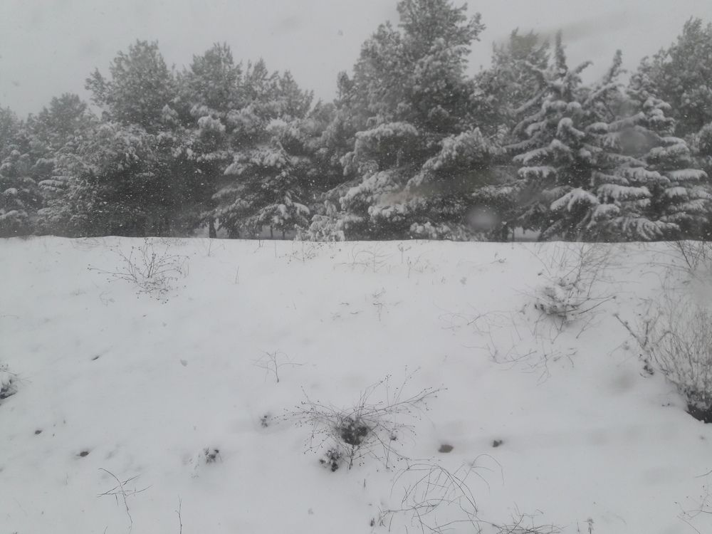 Photograph by Bachir Rabouh