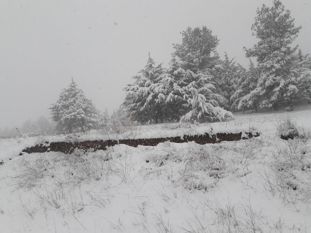 Photograph by Bachir Rabouh