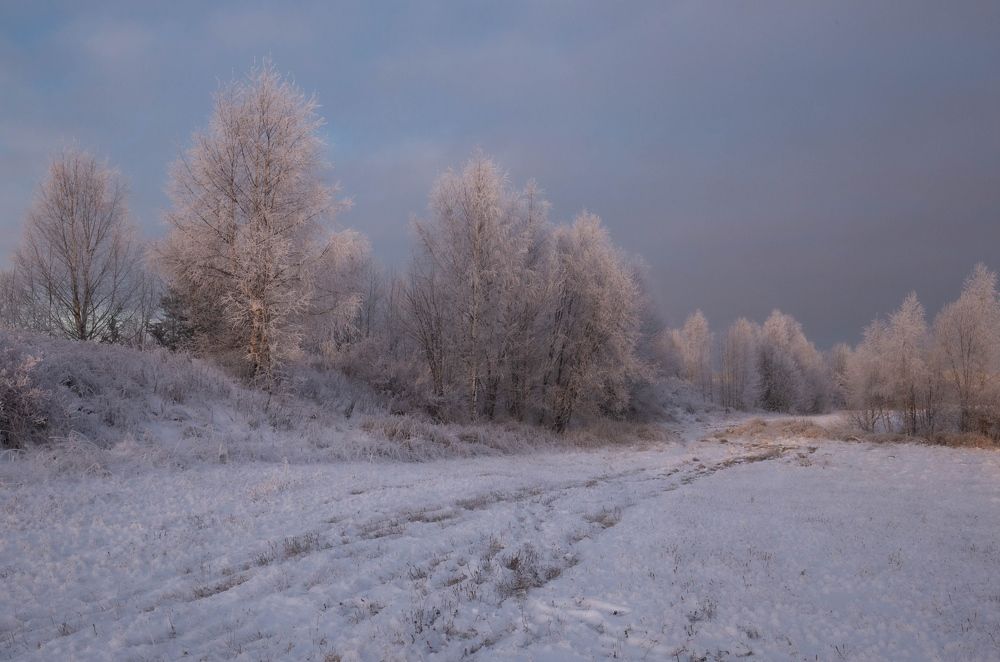 Photograph by Елена Хорохорина